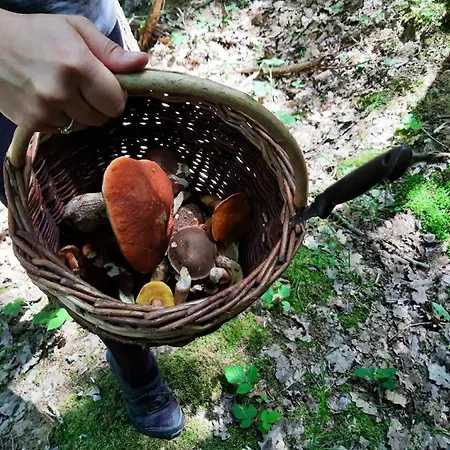Prázdninový dům Prázdninový V českém Ráji *